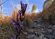 MONTE GIOCO (1366 m) colorato d鈥檃tunno, da Spettino di S. Pellegrino Terme la mattina del 25 ottobre 2020 - FOTOGALLERY